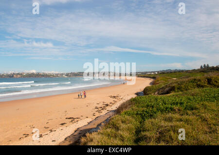 Blick nach Süden, langes Riff Strand entlang und in der Ferne Dee warum beach, Sydney, New-South.Wales, Australien Stockfoto