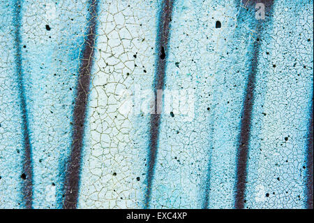 Blaue und schwarze Farbe auf einer Steinmauer als ein abstraktes strukturiertes Bild Stockfoto