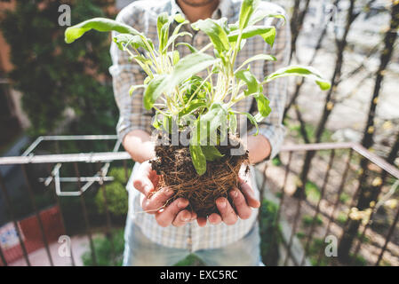 schöne stilvolle Mann im Garten zu Hause Stockfoto