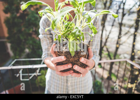 schöne stilvolle Mann im Garten zu Hause Stockfoto