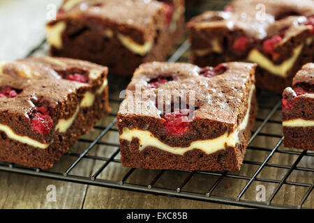 Käsekuchen-Brownies mit Himbeer auf ein Kuchengitter hautnah Stockfoto