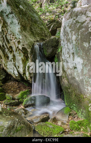 Wasser rinnt über Felsen nach Taumeln über Anglin Fälle in Zentral Kentucky Stockfoto