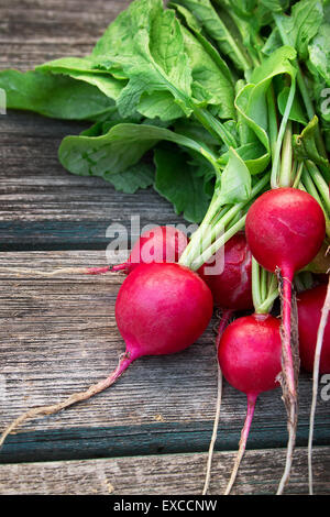 Rettich auf hölzernen Hintergrund Stockfoto