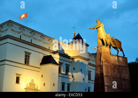 Die Kathedrale von Vilnius und Großfürst Gediminas-Denkmal in der Nacht. Stockfoto