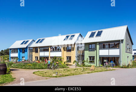 Wohnen im Osten Ginster Co-Gehäuse-Cluster in Findhorn Eco Village Naturschutzgebiet Moray Schottland Stockfoto