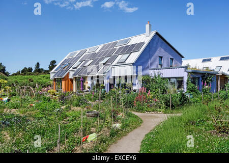 Wohnen im Osten Ginster Co-Gehäuse-Cluster in Findhorn Eco Village Naturschutzgebiet Moray Schottland Stockfoto