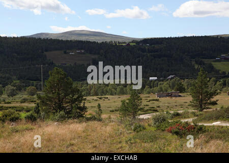 Blick auf Feld, Wald und Berge, Norwegen Stockfoto