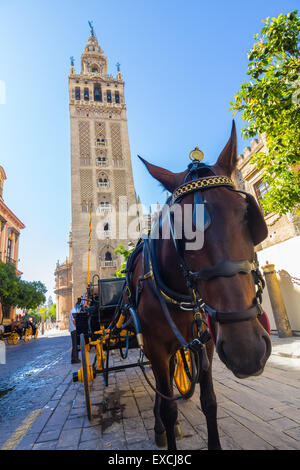 Kutsche mit Pferd neben der berühmten Giralda in Sevilla, Spanien Stockfoto