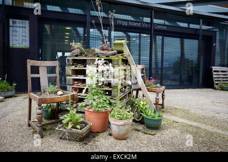 Runcorn ist eine Stadt und Fracht Industriehafen in Halton, Cheshire, UK.  Abgebildete Wigg Insel, auch bekannt als Wigg Inselgemeinschaft Stockfoto