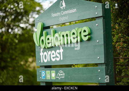 Runcorn ist eine Stadt und Fracht Industriehafen in Halton, Cheshire, UK.  Abgebildete Delamere Wald oder Delamere Forest Park ist ein lar Stockfoto