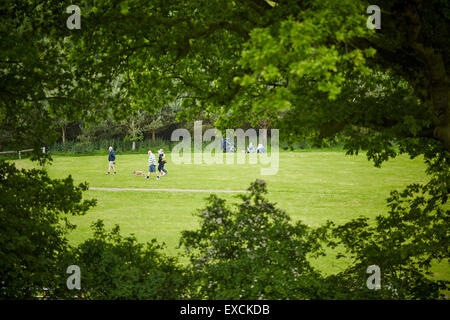 Abgebildete Delamere Wald oder Delamere Forest Park ist ein großer Wald nahe der Stadt Frodsham in Cheshire, England. Das Waldland, w Stockfoto