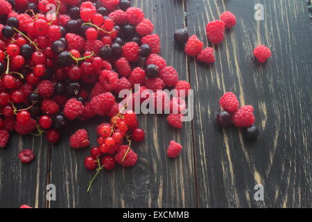 Legen Sie sich auf ein Holzbrett rot, schwarze Johannisbeeren, Himbeeren Stockfoto