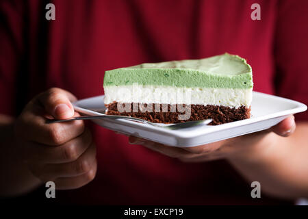 Ein Stück von Matcha/grüner Tee, Kokos Pulver und Schokoladenkuchen in einer Detailansicht. Stockfoto