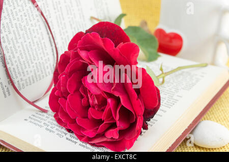 Rote Rose auf ein aufgeschlagenes Buch mit Herzform im Hintergrund Stockfoto