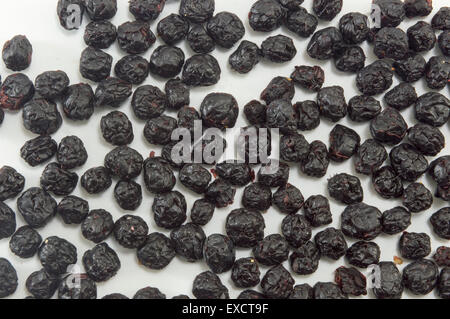 Handvoll getrocknete Aronia Beeren bildet Hintergrund Stockfoto