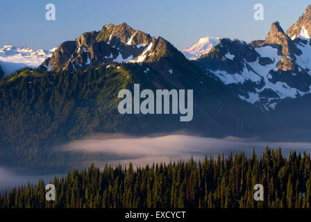 Blick auf die Berge von Sonnenaufgang, Mt Rainier-Nationalpark, Washington Stockfoto