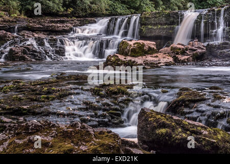 Aysgarth Falls in North Yorkshire Stockfoto