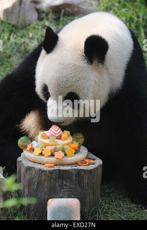 Peking, China. 5. Juli 2015. Giant Panda Xinxin frisst ihre Geburtstagstorte im Panda-Pavillon in Seac Pai Van Park in Süd-China Macao, 5. Juli 2015. Xinxin, eines der Riesenpanda paar Kaikai und Xinxin gestiftet von der chinesischen Zentralregierung als Geschenk nach Macao, feierte ihren achten Geburtstag hier Sonntag. © Cheong Kam Ka/Xinhua/Alamy Live-Nachrichten Stockfoto