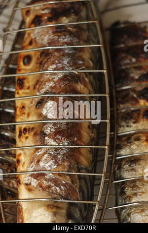 Auf Holzkohle Grillen Makrele Feuer Closeup Bild. Stockfoto