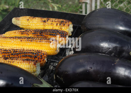 Grillen Gemüse auf Holzkohle Feuer Closeup Bild. Stockfoto