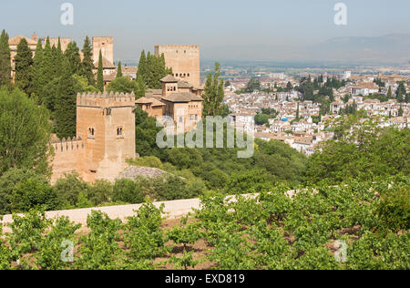 Granada - die Aussicht auf die Alhambra und die Stadt von Generalife Gärten. Stockfoto