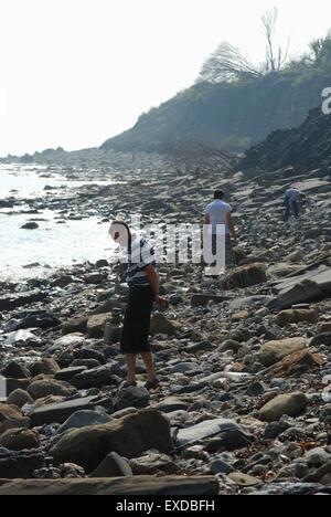 Menschen auf der Jagd nach Fossilien an der Jurassic Coast bei Lyme Regis, Dorset., Großbritannien Stockfoto