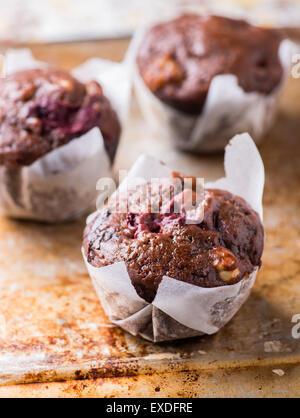 Schokoladen-Muffins mit Nüssen und Kirschen auf Metall Hintergrund, selektiven Fokus Stockfoto