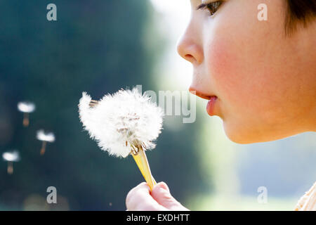 Kaukasier Kind, Junge, 5-6 Jahr alt, Blasen, den Samen von Löwenzahn. Nahaufnahme von der Seite des Gesichts- und seedhead. Hintergrundbeleuchtung von Sonnenschein. Flache konzentrieren. Stockfoto