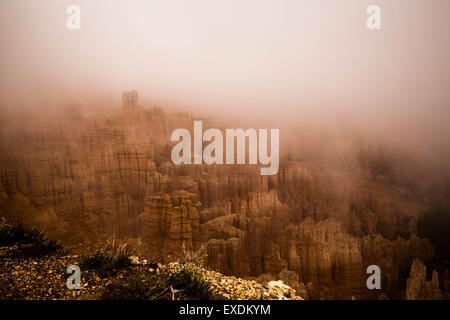 Neblig Hoodoos im Bryce-Canyon-Nationalpark Stockfoto