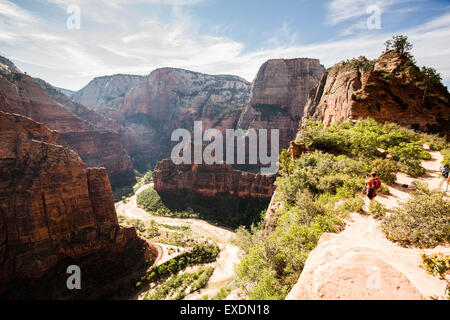 Scout Suche, die Angel Trail, Zion Nationalpark Landung Stockfoto