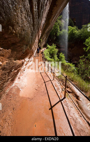 Emerald Pool Trail, Zion Nationalpark Stockfoto