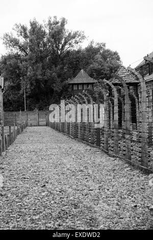 Szenen aus dem KZ Auschwitz, in der Nähe von Krakau, Polen Stockfoto