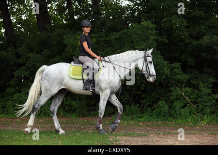 Mädchen reitet Hannoveraner Pferd Stockfoto