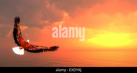 Adler fliegen auf Meer bei Sonnenuntergang - 3D render Stockfoto