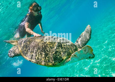Unterwasser-Blick auf grünen Meeresschildkröte und eine junge Frau, Marsa Alam, Abu Dabbab Bay, Rotes Meer, Ägypten Stockfoto