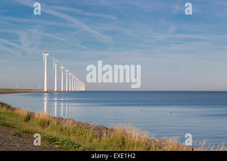 Lange Reihe off Shore Windkraftanlagen an der niederländischen Küste Stockfoto