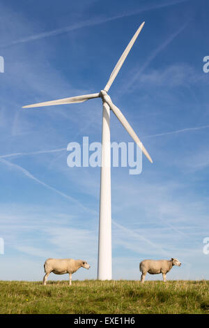 Große Windkraftanlagen mit zwei Schafe davor Stockfoto