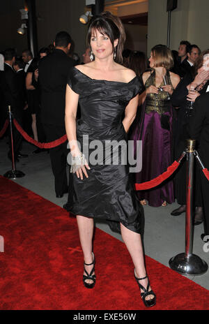 LOS ANGELES, CA - 29. Januar 2011: Julia Ormond in der 63. jährliche Directors Guild of America Awards in Hollywood & Highland. Stockfoto