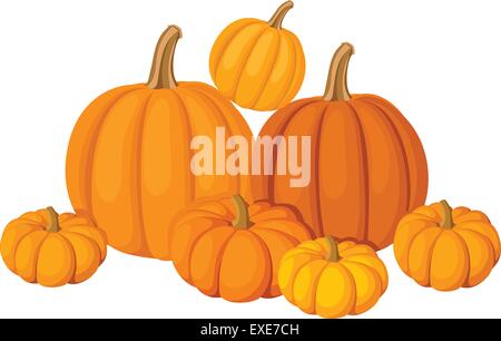 Gruppe von sieben orangefarbene Kürbisse. Vektor-Illustration. Stock Vektor