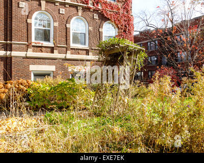 Überwucherten Herbst Garten im Stadtteil Hyde Park von Chicago, IL, USA. Stockfoto