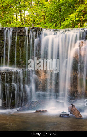 Versteckte fällt auf Prairie Creek in Nerstrand Big Woods State Park, Minnesota. Stockfoto