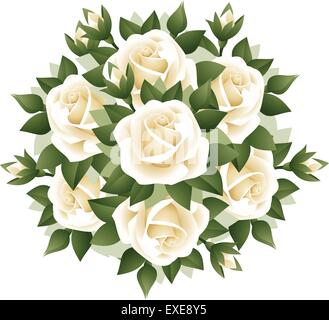 Bouquet von weißen Rosen. Vektor-Illustration. Stock Vektor