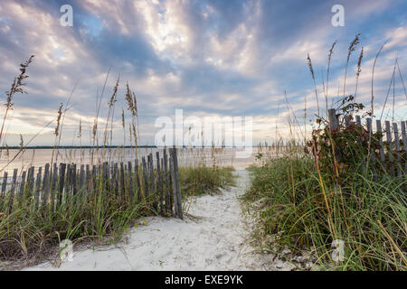 Meer Hafer gefüttert Düne Weg zum Fluss Amelia auf der südlichen Ende von Amelia Island, Florida. Stockfoto