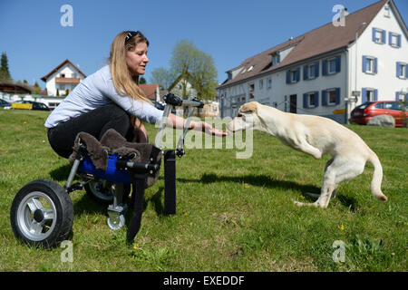 Riedshausen, Deutschland. 23. April 2015. Petra Rapp füttert ihr behinderten Mischlingshund Luisa, die vor einer Gehhilfe an den hinteren Beinen in Riedshausen, Deutschland, 23. April 2015 steht. Da der Hund ohne Vorderbeine geboren wurde, erstellt die Familie einen Rollstuhl für ihr mithilfe eines 3D-Druckers ihre Mobilität zu erhöhen. Foto: Felix Kaestle/Dpa/Alamy Live News Stockfoto