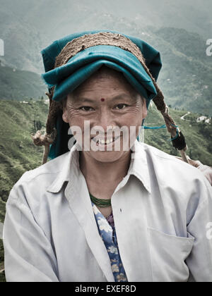 Darjeeling weiblichen Teepflückerinnen Stockfoto