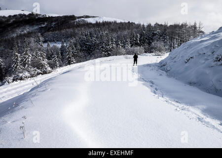 Ibañeta Bergpass. Roncesvalles, Navarra, Spanien Stockfoto