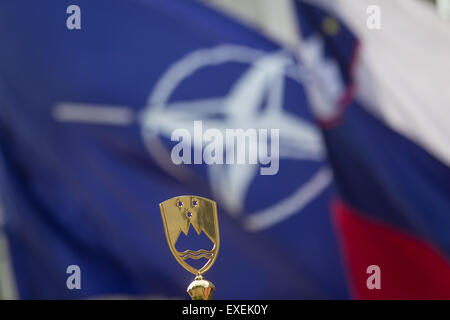 Slowenien, Ljubljana, 13. Juli 2015. NATO und slowenischen Flagge während der Begrüßung. Ljubljana, 13.07.2015 Kredit: Aleš Beno/Alamy Live-Nachrichten Stockfoto