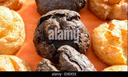 die verschiedenen süße Windbeutel aka profiterole Stockfoto