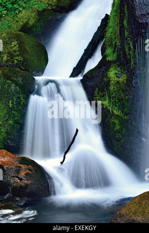 Deutschland, Schwarzwald: Kaskade der Wasserfälle von Triberg Stockfoto