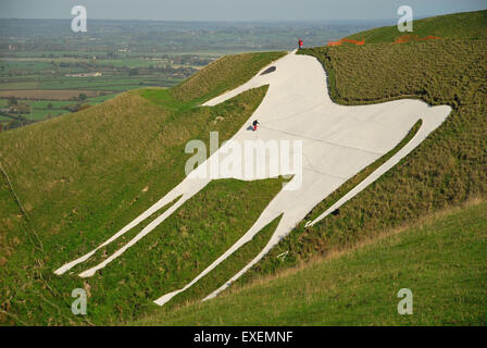 Malerei des weißen Pferdes Westbury im Jahre 2006 (Bratton Camp Hilllfort). Stockfoto